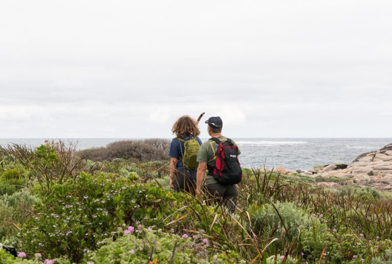 Cape to cape track