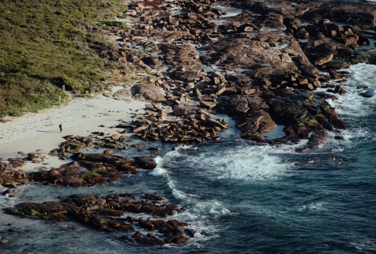 Sea Sight