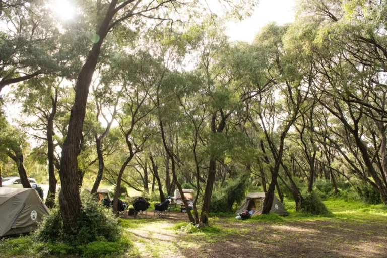 Margaret River Camping Sites That Pair Well with Your Short Day Hikes