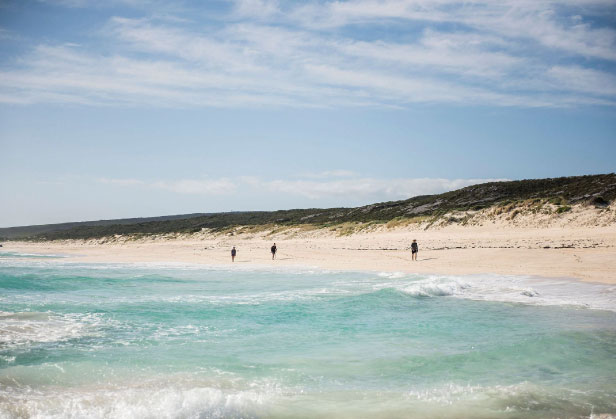 Cape2Camp and Cape to Cape Explorer Tours